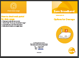Broadband Options for Overage